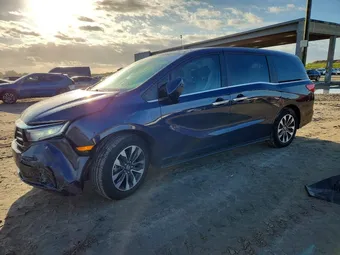 2024 Honda Odyssey 5FNRL6H64RB047895 Lot 46861506
