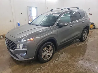 2023 Hyundai Santa Fe 5NMS2DAJ4PH566299 Lot 48808146
