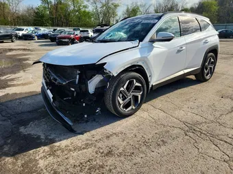 2023 Hyundai Tucson KM8JECAE8PU215416 Lot 51131276