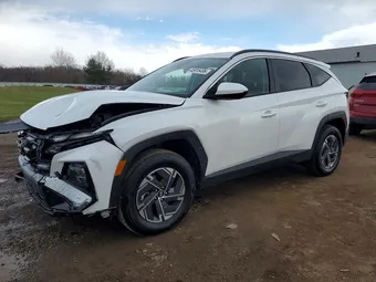 2025 Hyundai Tucson Hybrid KM8JBDD11SU396889 Lot 45915496