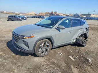 2024 Hyundai Tucson 5NMJECDE2RH404234 Lot 45551976