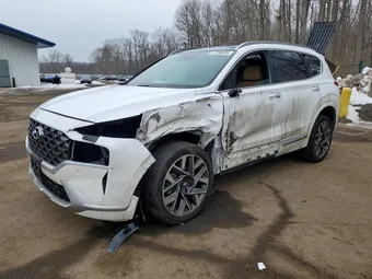 2023 Hyundai Santa Fe 5NMS5DALXPH657215 Lot 77290205