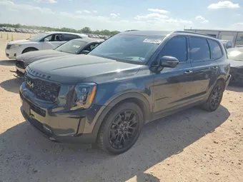 2022 Kia Telluride 5XYP5DHC3NG209353 Lot 47759946