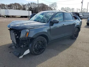 2024 Kia Telluride 5XYP5DGC0RG545291 Lot 46672086