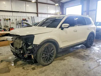 2020 Kia Telluride 5XYP5DHC5LG076124 Lot 79990625