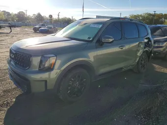 2024 Kia Telluride 5XYP5DGC9RG415168 Lot 41841666