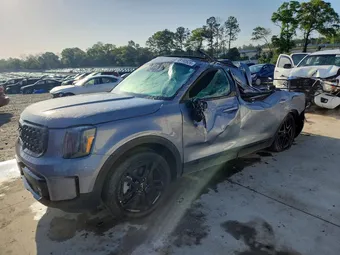 2024 Kia Telluride 5XYP5DGC8RG504679 Lot 48192626