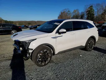 2025 Kia Sorento 5XYRK4JF1SG406085 Lot 45970886