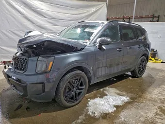 2024 Kia Telluride 5XYP3DGC2RG507812 Lot 96049395