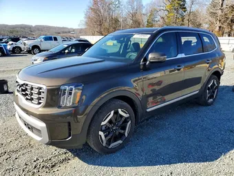 2025 Kia Telluride 5XYP64GC6SG713017 Lot 77108905