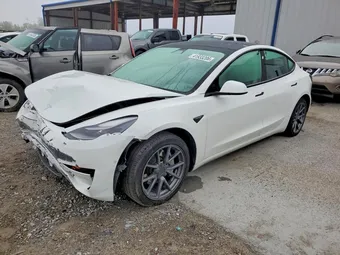2021 Tesla Model 3 5YJ3E1EA6MF100407 Lot 41933206