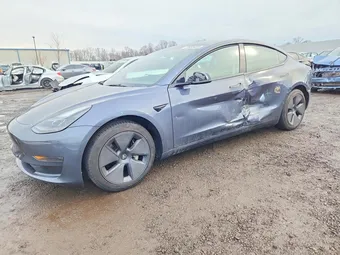 2023 Tesla Model 3 5YJ3E1EA1PF599881 Lot 77660425