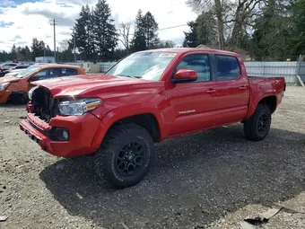2022 Toyota Tacoma 3TMCZ5AN5NM472032 Lot 48880716