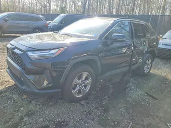 2023 Toyota RAV4 2T3W1RFV4PW267470 Lot 48732316