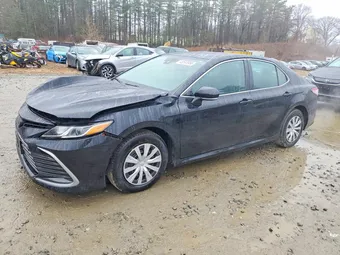 2021 Toyota Camry 4T1C31AK2MU568061 Lot 48593986