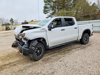 2023 Chevrolet Silverado 3GCUDHEL4PG164655 Lot 79627985
