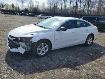 2023 Chevrolet Malibu 1G1ZB5STXPF123178 Lot 48081626
