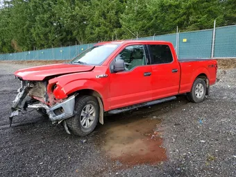 2020 Ford F-150 1FTFW1E54LFC35926 Lot 78710505