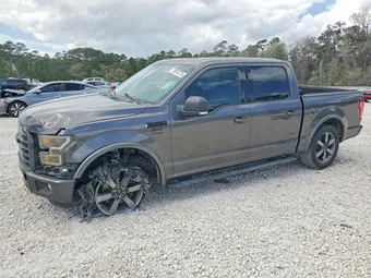 2015 Ford F-150 1FTEW1CP6FKE59260 Lot 79836735