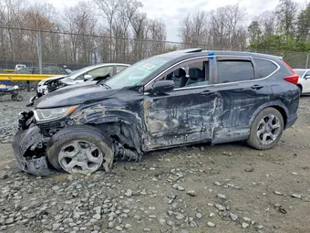 2019 Honda CR-V 5J6RW1H81KL006360 Lot 47023036