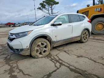 2019 Honda CR-V 5J6RW2H54KA005081 Lot 49701916