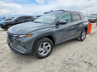 2024 Hyundai Tucson 5NMJBCDEXRH325581 Lot 46421166
