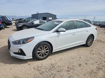 2019 Hyundai Sonata 5NPE24AF6KH792221 Lot 47436126