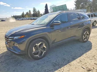 2024 Hyundai Tucson 5NMJFCDE8RH321016 Lot 49087946