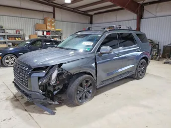 2025 Hyundai Palisade KM8R3DGE3SU948567 Lot 47929226