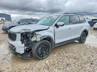 2025 Kia Telluride 5XYP5DGC5SG565901 Lot 48417146
