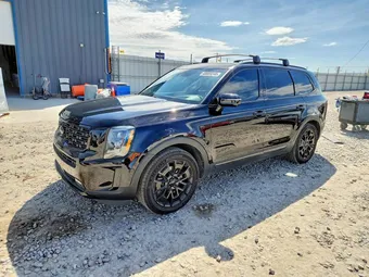 2021 Kia Telluride 5XYP5DHCXMG149828 Lot 48689246