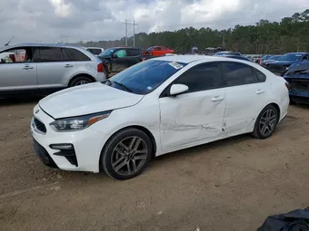 2019 Kia Forte 3KPF34AD9KE042865 Lot 97995155