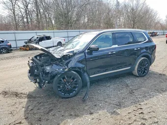 2021 Kia Telluride 5XYP5DHC3MG101264 Lot 47089596