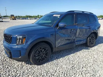 2025 Kia Telluride 5XYP3DGC1SG675513 Lot 51686856