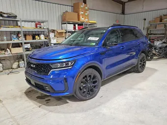 2023 Kia Sorento 5XYRK4LF8PG167154 Lot 46741066