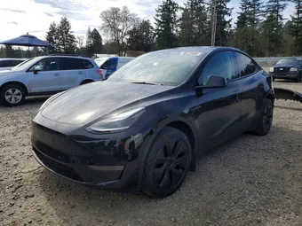 2025 Tesla Model Y 7SAYGDED9SF250510 Lot 48139886