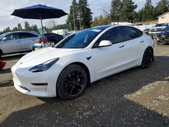 2023 Tesla Model 3 5YJ3E1EA5PF490517 Lot 48143556