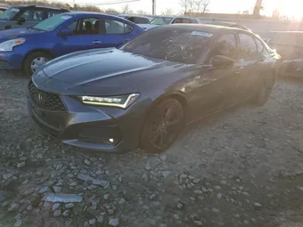 2021 Acura TLX 19UUB5F59MA007106