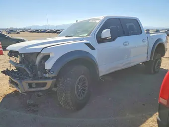 2019 Ford F-150 1FTFW1RG5KFA17424 Lot 45858126