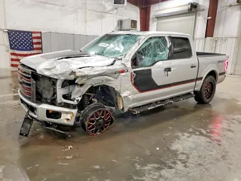 2017 Ford F-150 1FTEW1EF7HFC03385 Lot 79941855