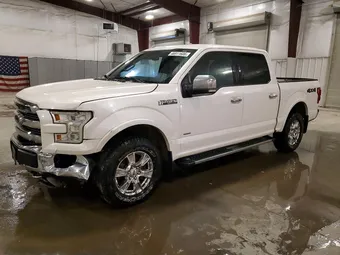 2016 Ford F-150 1FTEW1EG1GKE18615 Lot 46911606