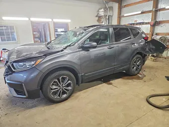 2021 Honda CR-V 5J6RW2H81ML003712 Lot 50788976