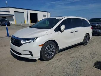 2023 Honda Odyssey 5FNRL6H65PB071815 Lot 79754825