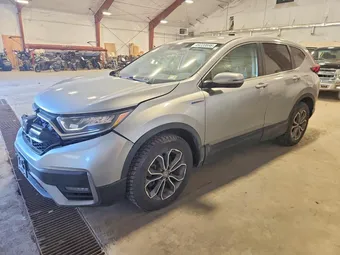 2020 Honda CR-V 7FART6H58LE026079 Lot 49220696