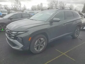2025 Hyundai Tucson KM8JCDD17SU305752 Lot 45978906