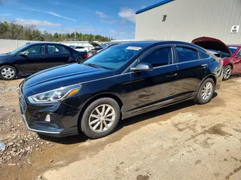 2019 Hyundai Sonata 5NPE24AF6KH732990 Lot 49262556