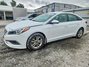 2016 Hyundai Sonata 5NPE24AF9GH398297 Lot 49810326