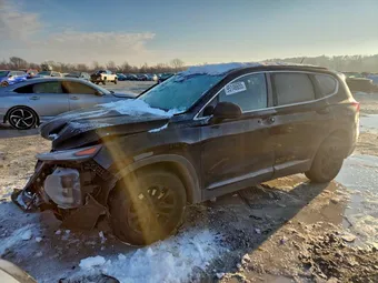 2019 Hyundai Santa Fe 5NMS2CAD9KH009336 Lot 95146655