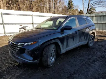 2023 Hyundai Tucson 5NMJBCAE3PH172740 Lot 79360005