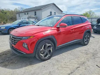2023 Hyundai Tucson 5NMJECAE6PH202952 Lot 49730486